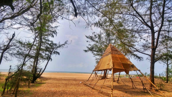 He ky thu tren cung duong bien Nam Trung Bo - Tay Nguyen hinh anh 3 Chạy thêm một đoạn nữa đến QL55 đoạn qua Bình Châu, chúng tôi ghé vào tham quan biển Suối Ồ, ngắm con đường dẫn ra biển với rừng thông xanh mát.