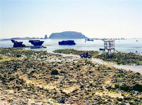 Đến với Hòn Đỏ, bạn sẽ phải làm quen với một kiểu địa hình khác lạ do những rạn san hô nhiều hình thù, nhọn hoắt như bàn chông nhô lên bãi cát trắng. (Ảnh: Internet) Đến với Hòn Đỏ, bạn sẽ phải làm quen với một kiểu địa hình khác lạ do những rạn san hô nhiều hình thù, nhọn hoắt như bàn chông nhô lên bãi cát trắng. (Ảnh: Internet)