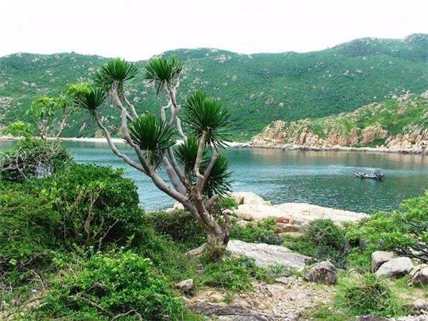 Vườn quốc gia Núi Chúa nằm phía đông bắc tỉnh Ninh Thuận, thuộc huyện Ninh Hải, có diện tích gần 30.000ha cùng chiều dài 57km. Tuy tại đây ít mưa nhưng lại có “Hồ treo” quanh năm nước trong xanh cùng nhiều con suối lớn như Lồ Ô, Đông Nha, Kiền Kiền không bao giờ cạn nước. (Ảnh: Internet) Vườn quốc gia Núi Chúa nằm phía đông bắc tỉnh Ninh Thuận, thuộc huyện Ninh Hải, có diện tích gần 30.000ha cùng chiều dài 57km. Tuy tại đây ít mưa nhưng lại có “Hồ treo” quanh năm nước trong xanh cùng nhiều con suối lớn như Lồ Ô, Đông Nha, Kiền Kiền không bao giờ cạn nước. (Ảnh: Internet)