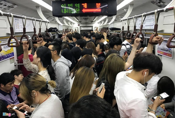 Với 12 tuyến chính, tổng chiều dài 331,5 km, 296 nhà ga, Metro đã trở thành phương tiện công cộng chính của người dân và du khách Seoul trong gần nửa thế kỷ qua. Các tuyến tàu đặc biệt đông khách vào giờ cao điểm là sáng sớm và chiều tối. Với 12 tuyến chính, tổng chiều dài 331,5 km, 296 nhà ga, Metro đã trở thành phương tiện công cộng chính của người dân và du khách Seoul trong gần nửa thế kỷ qua. Các tuyến tàu đặc biệt đông khách vào giờ cao điểm là sáng sớm và chiều tối.