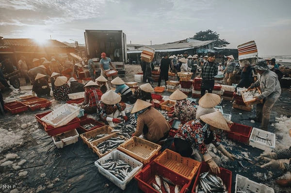 Thức dậy từ khá sớm, tôi có mặt tại cảng cá nhỏ thuộc thị trấn Long Hải, huyện Long Điền, tỉnh Bà Rịa - Vũng Tàu.Thức dậy từ khá sớm, tôi có mặt tại cảng cá nhỏ thuộc thị trấn Long Hải, huyện Long Điền, tỉnh Bà Rịa - Vũng Tàu. Thức dậy từ khá sớm, tôi có mặt tại cảng cá nhỏ thuộc thị trấn Long Hải, huyện Long Điền, tỉnh Bà Rịa - Vũng Tàu.