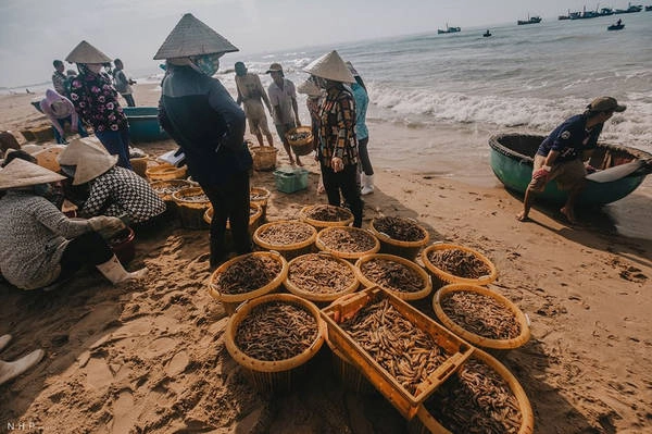 Đa số hải sản thu về sẽ được chở ra chợ đầu mối. Bên cạnh đó, một số tiểu thương ra tận cảng cá để thu mua cho được mẻ cá tươi ngon nhất. Đa số hải sản thu về sẽ được chở ra chợ đầu mối. Bên cạnh đó, một số tiểu thương ra tận cảng cá để thu mua cho được mẻ cá tươi ngon nhất.