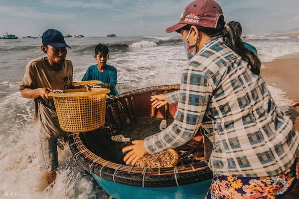 Cường độ công việc lúc nào cũng gấp gáp, vội vàng. Mọi thứ đều diễn ra chóng vánh trong vài tiếng buổi sáng với mục đích đưa hải sản ra chợ kịp thời. Cường độ công việc lúc nào cũng gấp gáp, vội vàng. Mọi thứ đều diễn ra chóng vánh trong vài tiếng buổi sáng với mục đích đưa hải sản ra chợ kịp thời.
