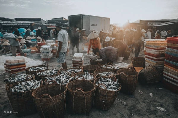Hàng tháng khi tàu cá về, khoảng đất ấy bỗng trở nên nhộn nhịp, đông đúc, thuyền về mang theo cơ man cá mú. Người dân hồ hởi lấy cá về phân loại, cân ký sao đó chuyển ra chợ bán. Hàng tháng khi tàu cá về, khoảng đất ấy bỗng trở nên nhộn nhịp, đông đúc, thuyền về mang theo cơ man cá mú. Người dân hồ hởi lấy cá về phân loại, cân ký sao đó chuyển ra chợ bán.