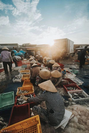 Khi những người đàn ông vận chuyển cá từ thuyền vào bờ, phụ nữ hồ hởi phân loại cá để sẵn sàng vận chuyển đến chợ nguồn hải sản phong phú và tươi ngon nhất. Khi những người đàn ông vận chuyển cá từ thuyền vào bờ, phụ nữ hồ hởi phân loại cá để sẵn sàng vận chuyển đến chợ nguồn hải sản phong phú và tươi ngon nhất.