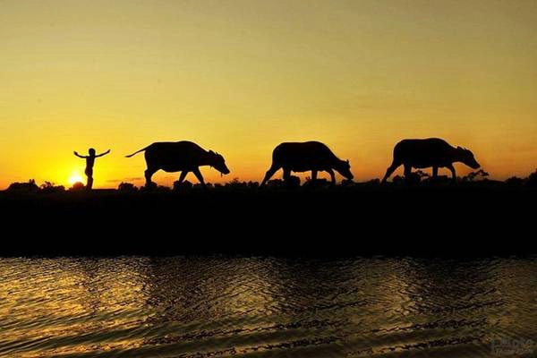 Hãy tìm cho mình chút bình yên trong tâm hồn với những ký ức thuở bé thơ, để thấy yêu đời, yêu quê hương mình nhiều hơn. Ảnh: Thang Pham. Hãy tìm cho mình chút bình yên trong tâm hồn với những ký ức thuở bé thơ, để thấy yêu đời, yêu quê hương mình nhiều hơn. Ảnh: Thang Pham.