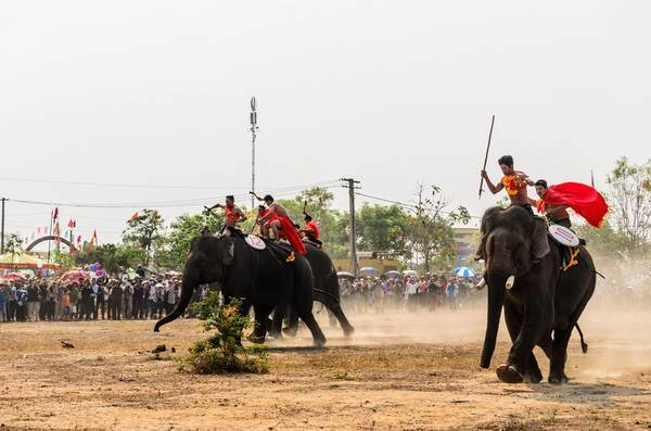 Cuộc đấu diễn ra rất sôi nổi và hào hứng cả trong cuộc đấu lẫn cả khán giả trên sân. Cuộc đấu diễn ra rất sôi nổi và hào hứng cả trong cuộc đấu lẫn cả khán giả trên sân.
