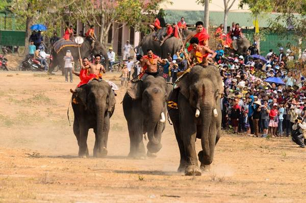 Tranh tài quyết liệt trong sự cổ vũ cuồng nhiệt... Tranh tài quyết liệt trong sự cổ vũ cuồng nhiệt...