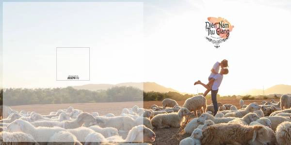 Đừng ngạc nhiên khi ở Hồ Cốc vẫn có những đàn cừu không khác gì Phan Rang - Ninh Thuận Đừng ngạc nhiên khi ở Hồ Cốc vẫn có những đàn cừu không khác gì Phan Rang - Ninh Thuận