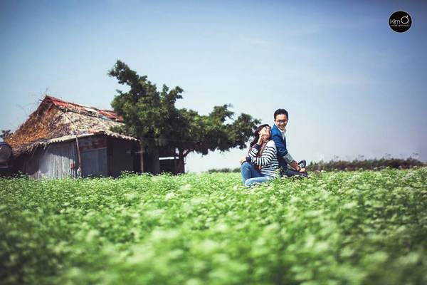 Hay cả một cánh đồng cải trắng như Đà Lạt Hay cả một cánh đồng cải trắng như Đà Lạt