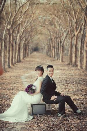 Dọc đường đến Hồ Cốc, bạn cũng dễ dàng tìm ra những hàng cao su thẳng tắp. Dọc đường đến Hồ Cốc, bạn cũng dễ dàng tìm ra những hàng cao su thẳng tắp.