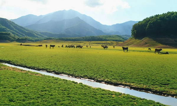 Hồ Hòa Trung cách trung tâm thành phố Đà Nẵng khoảng 20km, nằm ở xã Hòa Liên, huyện Hòa Vang, thành phố Đà Nẵng.  Ảnh: chamspamassage.com