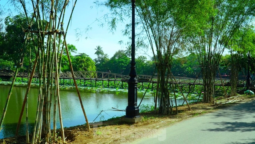 Những lũy tre làng trong ngự uyển. Ảnh: Báo Tiền phong.