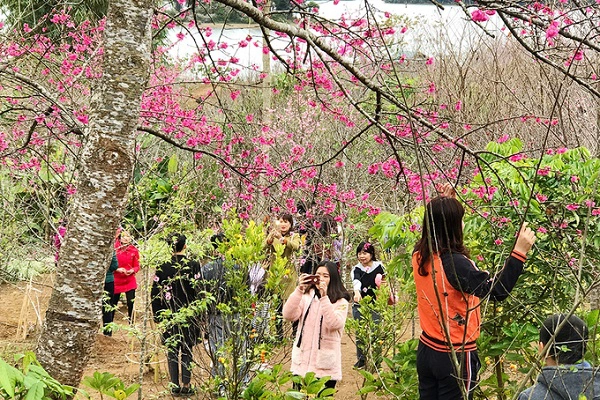 Từ trung tâm thị xã Điện Biên, nếu đi xe máy, bạn chạy khoảng 20 km theo hướng đi Nà Lơi, qua Nà Nhạn, Na Pen đến chợ Nà Tấu rồi rẽ sang hồ Pá Khoang, hỏi thêm đường người dân để đến bến thuyền. Thời gian diễn ra lễ hội, xuồng cao tốc chở từ 10 đến 15 người là 455.000 đồng/chuyến; xuồng máy, xuồng cao tốc chở từ 10 người trở xuống là 265.000 đồng/chuyến. Sáng khai mạc lễ hội, du khách sẽ được đưa di chuyển miễn phí bằng thuyền máy. Từ trung tâm thị xã Điện Biên, nếu đi xe máy, bạn chạy khoảng 20 km theo hướng đi Nà Lơi, qua Nà Nhạn, Na Pen đến chợ Nà Tấu rồi rẽ sang hồ Pá Khoang, hỏi thêm đường người dân để đến bến thuyền. Thời gian diễn ra lễ hội, xuồng cao tốc chở từ 10 đến 15 người là 455.000 đồng/chuyến; xuồng máy, xuồng cao tốc chở từ 10 người trở xuống là 265.000 đồng/chuyến. Sáng khai mạc lễ hội, du khách sẽ được đưa di chuyển miễn phí bằng thuyền máy.
