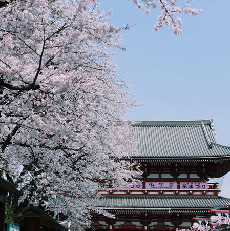 Theo tư vấn của Thiện Chí, những điểm đến ngắm hoa đào đẹp ở Tokyo bạn có thể ghé qua những ngày này là công viên Uneo, công viên Yoyogi, sông Meguro, công viên Sumida, khu vực Hakone gần núi Phú Sĩ... Không khó để kiếm được địa điểm đẹp bởi đâu đâu ở Tokyo cũng được coi như một studio ngoài trời lãng mạn cho bạn thỏa sức sáng tạo. Theo tư vấn của Thiện Chí, những điểm đến ngắm hoa đào đẹp ở Tokyo bạn có thể ghé qua những ngày này là công viên Uneo, công viên Yoyogi, sông Meguro, công viên Sumida, khu vực Hakone gần núi Phú Sĩ... Không khó để kiếm được địa điểm đẹp bởi đâu đâu ở Tokyo cũng được coi như một studio ngoài trời lãng mạn cho bạn thỏa sức sáng tạo.