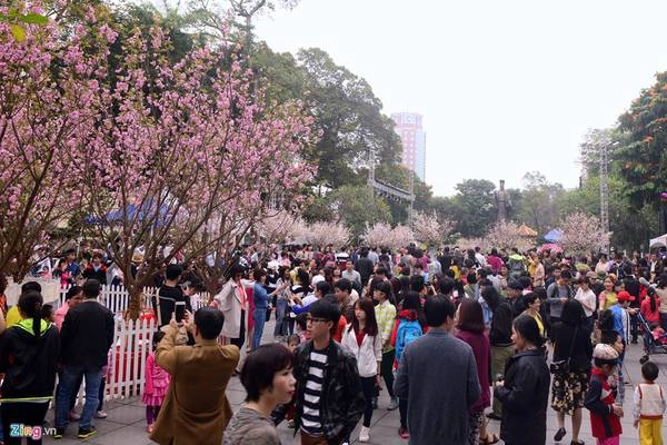 Sáng 20/3, hàng nghìn người dân thủ đô Hà Nội đổ về khu vực tượng đài Lý Thái Tổ để chiêm ngưỡng hoa anh đào Nhật Bản. Sáng 20/3, hàng nghìn người dân thủ đô Hà Nội đổ về khu vực tượng đài Lý Thái Tổ để chiêm ngưỡng hoa anh đào Nhật Bản.