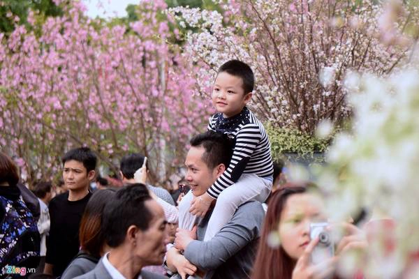 Do tổ chức vào dịp cuối tuần nên ngày hội thu hút rất đông khách. Nhiều gia đình đưa con em đi dạo chơi, chụp ảnh. Do tổ chức vào dịp cuối tuần nên ngày hội thu hút rất đông khách. Nhiều gia đình đưa con em đi dạo chơi, chụp ảnh.