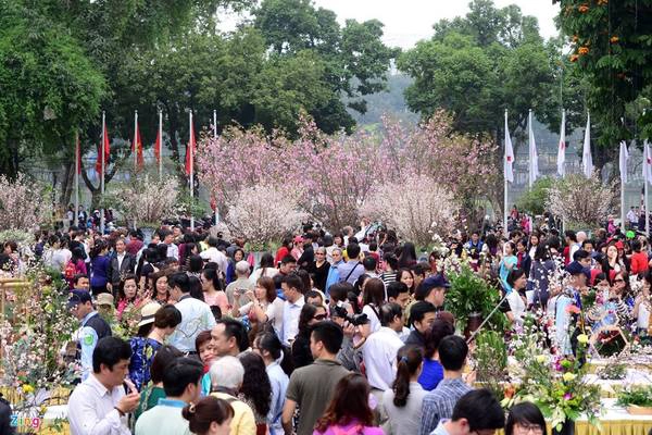 Sau khi lễ hội diễn ra, 200 cây hoa anh đào (trưng bày giữa sân quảng trường, có màu đỏ hồng) sẽ được chuyển đến trồng tại công viên Hòa Bình. Các chuyên gia Nhật Bản sẽ phụ trách việc chăm sóc, đảm bảo có hoa sau một năm. Sau khi lễ hội diễn ra, 200 cây hoa anh đào (trưng bày giữa sân quảng trường, có màu đỏ hồng) sẽ được chuyển đến trồng tại công viên Hòa Bình. Các chuyên gia Nhật Bản sẽ phụ trách việc chăm sóc, đảm bảo có hoa sau một năm.