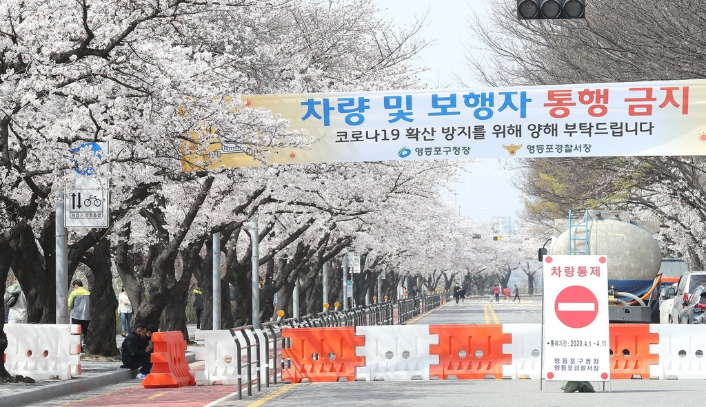 Tại Seoul, Hàn Quốc, các lễ hội hoa anh đào hút khách hàng năm đã bị hủy bỏ do sự bùng phát dịch Covid-19. Lễ hội hoa anh đào hút khách bậc nhất tại Jinhae lần đầu tiên bị hoãn sau 57 năm tổ chức. Đoạn đường ở Yeouido, phía tây Seoul, khu vực ngắm hoa anh đào nổi tiếng cũng lập rào chắn, cấm người đi bộ đến hết ngày 10/4 và cấm ô tô qua lại đến ngày 11/4.