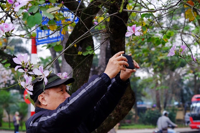 Sắc trắng pha lẫn tím hồng nhẹ nhàng của hoa ban không chỉ cuốn hút các bạn trẻ mà còn làm xao xuyến cả những người lớn tuổi, níu chân họ dừng lại để chụp ảnh. Sắc trắng pha lẫn tím hồng nhẹ nhàng của hoa ban không chỉ cuốn hút các bạn trẻ mà còn làm xao xuyến cả những người lớn tuổi, níu chân họ dừng lại để chụp ảnh.