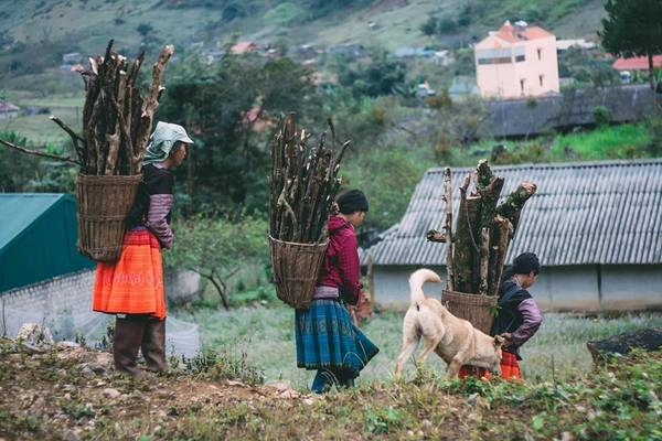 Lên Mộc Châu, ngoài cảnh đẹp, bạn còn có thể khám phá cuộc sống của những người dân tộc H'mong, Thái...