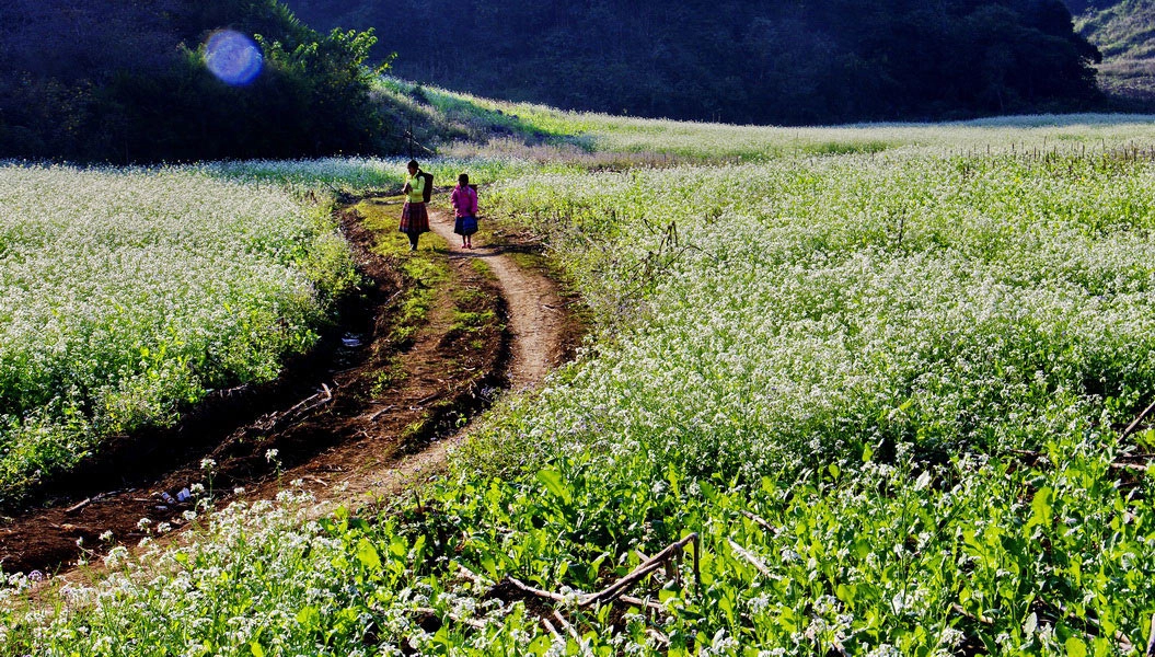 Ảnh: mocchautourism
