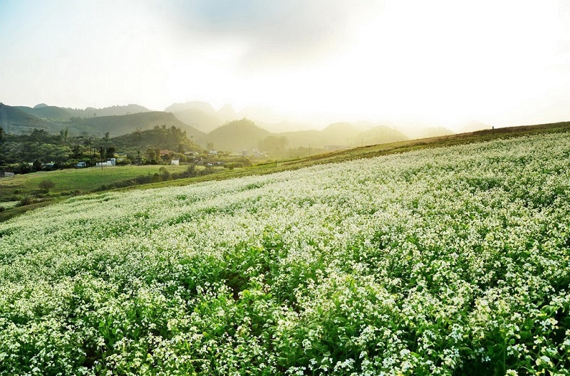 Ảnh: Google Plus