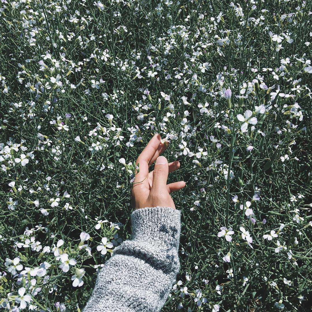 Ảnh: toan.blue
