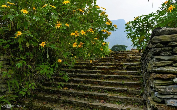 Mùa hoa trên lối vào phế tích Nhà Đại Tá, nơi từng là một trong những dinh thự xa hoa nhất của người Pháp ở khu nghỉ dưỡng Ba Vì thời trước. Công trình có kiến trúc bờ tường dày, sàn nhà cao tới 4 m với tầm nhìn thẳng xuống sông Đà và một phần thị xã Sơn Tây.  Nhà Đại Tá hiện chỉ còn sàn nhà cùng một số góc tường đổ nát, nằm trong khuôn viên resort Meliá. Du khách muốn tham quan tại đây cần liên hệ trước với khu nghỉ dưỡng hoặc đặt phòng tại đây.