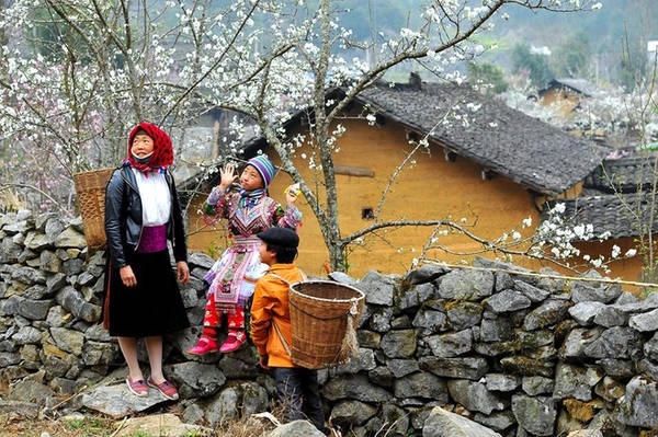 Thị trấn Sủng Là, Phố Bảng, Phó Cáo, Lũng Cú, Ma Lé,.. đang khoác lên mình chiếc áo mới. Thị trấn Sủng Là, Phố Bảng, Phó Cáo, Lũng Cú, Ma Lé,.. đang khoác lên mình chiếc áo mới.