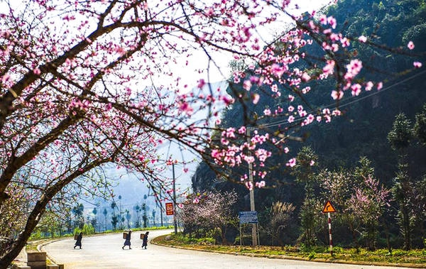 Con đường quốc lộ dẫn qua thị trấn Sủng Là đẹp như bức tranh. Con đường quốc lộ dẫn qua thị trấn Sủng Là đẹp như bức tranh.