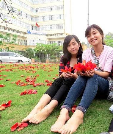 Linh chia sẻ, chưa bao giờ được nhìn nhiều hoa gạo nở đẹp đến vậy... Linh chia sẻ, chưa bao giờ được nhìn nhiều hoa gạo nở đẹp đến vậy...