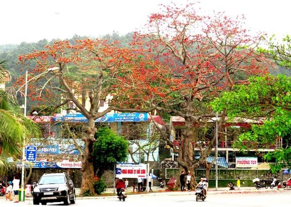 Cách đền khoảng 30 mét, 3 cụ gạo sừng sững giữa ngã ba đường khoác lên mình tấm áo đỏ như ngọn lửa đang cháy. Cách đền khoảng 30 mét, 3 cụ gạo sừng sững giữa ngã ba đường khoác lên mình tấm áo đỏ như ngọn lửa đang cháy.