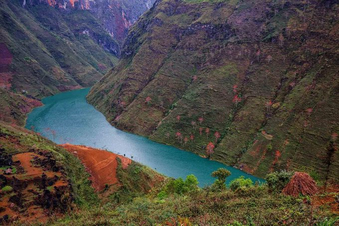 Nhiếp ảnh gia Trần Đoàn Huy, trưởng nhóm PhotoTrip Thái Nguyên cùng các bạn trẻ vừa có chuyến đi sáng tác ảnh mùa hoa gạo tại Hà Giang. Anh cho biết trên địa phận huyện Yên Minh, dọc theo Quốc lộ 4C dẫn lên trung tâm cao nguyên đá Đồng Văn và con đường xuôi về từ huyện Mèo Vạc là nơi có mật độ hoa gạo nhiều nhất.  Tuy nhiên, ngồi thuyền lướt trên dòng Nho Quế ngắm hoa gạo là trải nghiệm ấn tượng và phiêu du nhất.