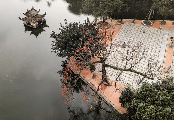 Cây hoa gạo in bóng trên mặt nước ở chùa Thầy - một danh thắng lâu đời thuộc huyện Quốc Oai, Hà Nội. Cây hoa gạo in bóng trên mặt nước ở chùa Thầy - một danh thắng lâu đời thuộc huyện Quốc Oai, Hà Nội.