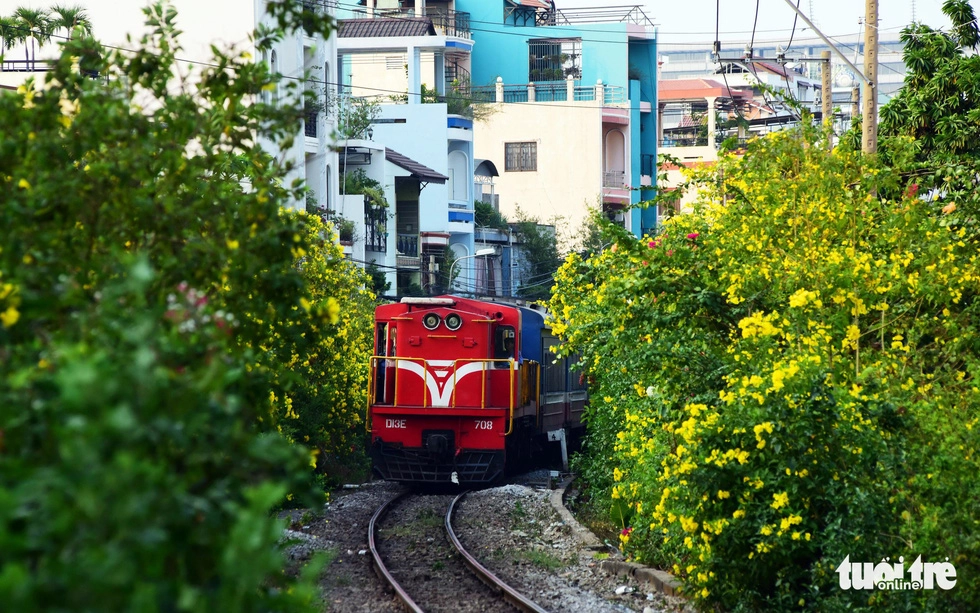 Hoa huỳnh liên nở vàng hai bên đường ray, khi có xe lửa đi qua tạo nên khung cảnh lãng mạn