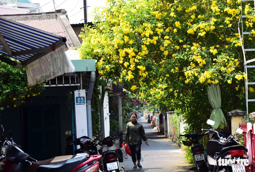 Hoa phủ lên trên những mái nhà, che mát cho người đi đường