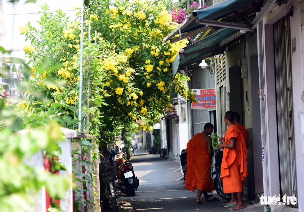 Sài Gòn đã có những mùa hoa của riêng mình?