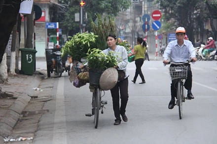 Loài hoa báo hè này đã rong ruổi trên những chiếc xe đạp cùng các chị, các cô trên khắp các tuyến phố Hà Nội như Phố Huế, Tô Hiến Thành,...