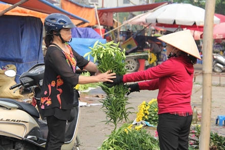 Cô Nguyễn Thị Oanh (phố Định Công, Q.Hoàng Mai) chia sẻ: "Cứ độ tháng tư này, tôi thường chọn hoa loa kèn vì hoa này bền, để được lâu, lại thơm dịu dàng".