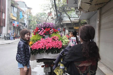 Loài hoa báo hè này còn thu hút khách du lịch tranh thủ lưu giữ cho mình những bức ảnh tươi mới qua màu sắc tươi mới và hương thơm dịu ngọt.