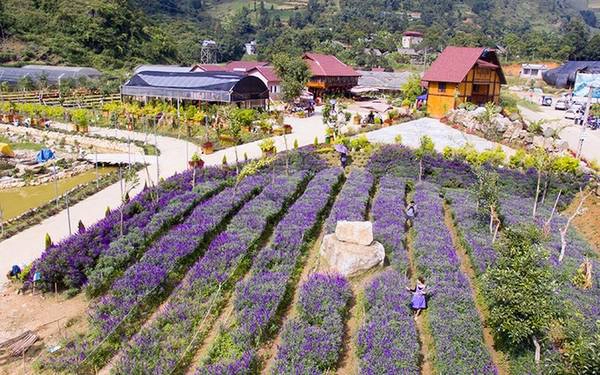 Phí vào tham quan, chụp ảnh là 30.000 đồng một khách. Phí vào tham quan, chụp ảnh là 30.000 đồng một khách.