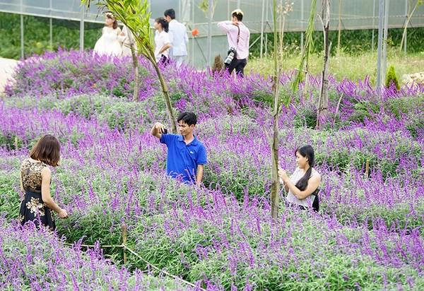 Du khách đến nơi đây chủ yếu là giới trẻ. Du khách đến nơi đây chủ yếu là giới trẻ.