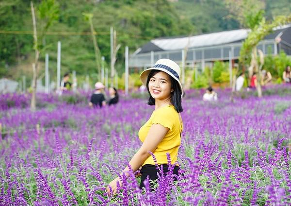 Một bạn trẻ đến từ thành phố Hà Nội tạo dáng bên vườn hoa. Chủ vườn chia sẻ, mỗi ngày trung bình nơi đây đón 300 - 400 lượt khách. Một bạn trẻ đến từ thành phố Hà Nội tạo dáng bên vườn hoa. Chủ vườn chia sẻ, mỗi ngày trung bình nơi đây đón 300 - 400 lượt khách.