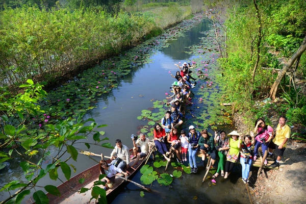 hoa-sung-chua-huong-khoe-sac-hong-duoi-nang-thu-ivivu-15