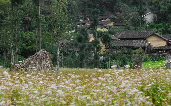 Làng văn hoá du lịch Lũng Cẩm là nơi cư trú của người dân tộc Mông, Lô Lô và Hán, với nhiều ngôi nhà trình tường cùng những mái ngói âm dương, hàng rào đá cổ.