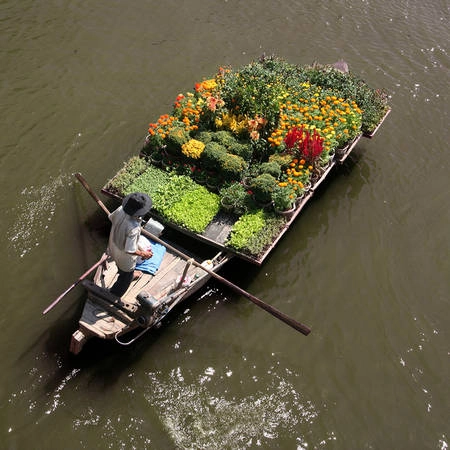 Một chiếc thuyền hoa chở hàng đi giao dịp Tết. Chính màu sắc rực rỡ của hoa với cạn thọ, cúc mâm xôi, mồng gà, dừa cạn… mang sắc xuân rất đặc trưng của sông nước miền Tây đã đủ sức thu hút người đi chợ. Một chiếc thuyền hoa chở hàng đi giao dịp Tết. Chính màu sắc rực rỡ của hoa với cạn thọ, cúc mâm xôi, mồng gà, dừa cạn… mang sắc xuân rất đặc trưng của sông nước miền Tây đã đủ sức thu hút người đi chợ.