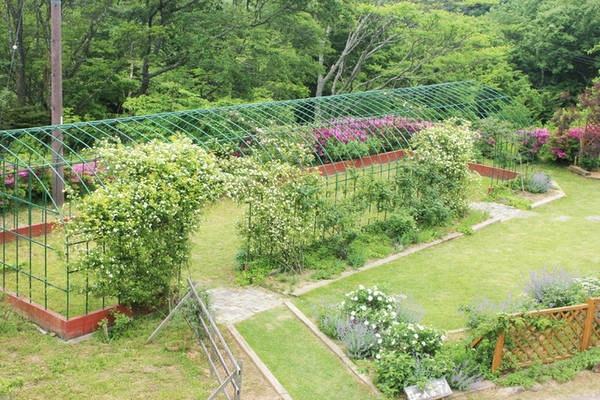 Cánh đồng hoa là địa chỉ nhiều đôi uyên ương tìm đến để chụp ảnh cưới hoặc tổ chức cưới. Cánh đồng hoa là địa chỉ nhiều đôi uyên ương tìm đến để chụp ảnh cưới hoặc tổ chức cưới.