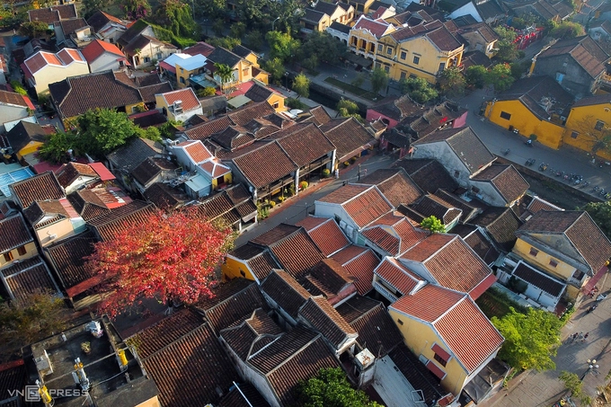 Cây bàng lá đỏ trên đường Nguyễn Thị Minh Khai nổi bật trên nền mái ngói thâm nâu của phố cổ. “Hội An vào mùa nào cũng đẹp, nhưng tôi thích mùa xuân hơn vì thời tiết dễ chịu, phong cảnh tuyệt đẹp khi những tán lá bàng đỏ mang đến vẻ trầm mặc, lãng mạn”, nhiếp ảnh gia Đỗ Anh Vũ (Hội An), tác giả bộ ảnh cho biết.