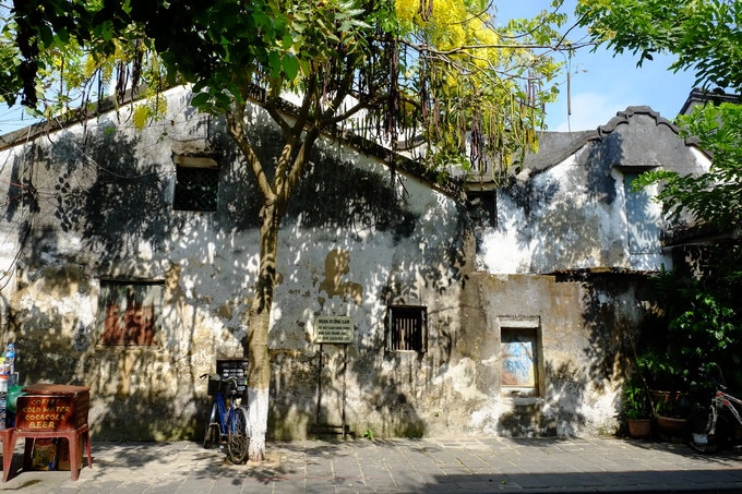 Tại phố Nguyễn Thái Học, không chỉ tìm thấy hai hàng hoa này nở rộ, bạn còn có thể nhận ra "bức tường Hội An" nổi tiếng với những ô cửa sổ và rêu phủ loang lổ. Bức tường là nơi được nhiều bạn trẻ yêu thích chụp hình check-in. Mỗi buổi sáng sớm, khoảng 6h - 9h khi hàng quán chưa mở cửa đón khách, thường có một quán cà phê cóc là nơi các cụ già tập thể dục về ngồi uống nước hàn huyên. Tại phố Nguyễn Thái Học, không chỉ tìm thấy hai hàng hoa này nở rộ, bạn còn có thể nhận ra "bức tường Hội An" nổi tiếng với những ô cửa sổ và rêu phủ loang lổ. Bức tường là nơi được nhiều bạn trẻ yêu thích chụp hình check-in. Mỗi buổi sáng sớm, khoảng 6h - 9h khi hàng quán chưa mở cửa đón khách, thường có một quán cà phê cóc là nơi các cụ già tập thể dục về ngồi uống nước hàn huyên.
